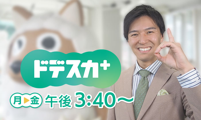 メ～テレ　ドデスカ＋